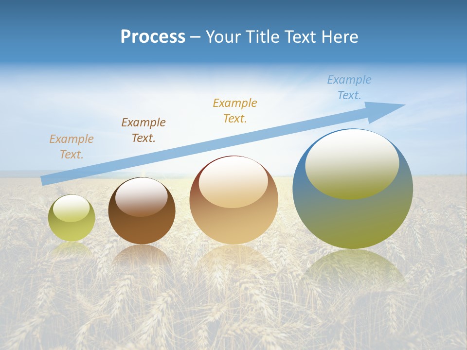Insurance Economy Crisis PowerPoint Template