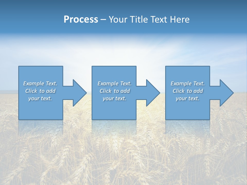 Insurance Economy Crisis PowerPoint Template