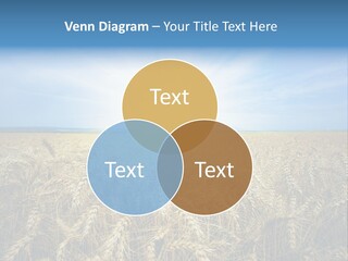 Insurance Economy Crisis PowerPoint Template
