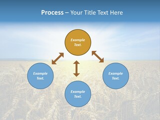 Insurance Economy Crisis PowerPoint Template