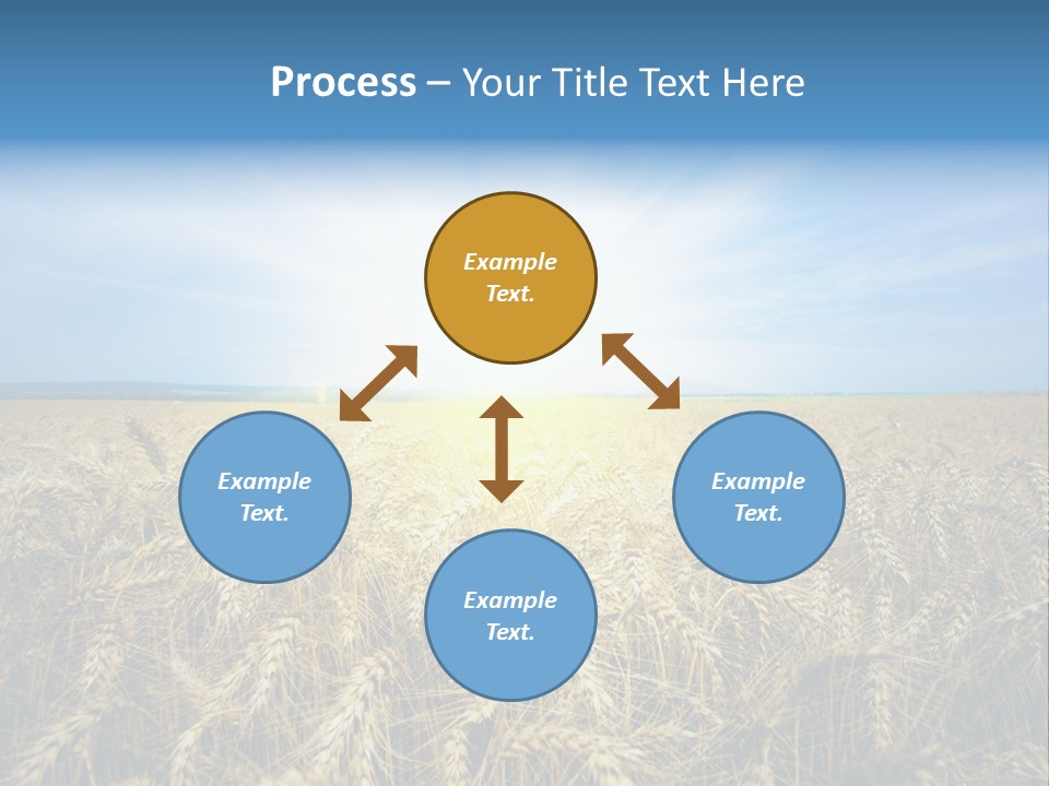 Insurance Economy Crisis PowerPoint Template