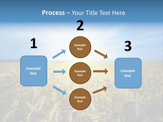 Insurance Economy Crisis PowerPoint Template