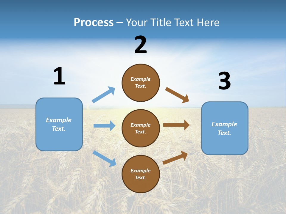 Insurance Economy Crisis PowerPoint Template