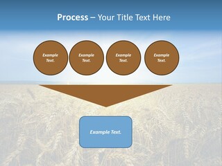 Insurance Economy Crisis PowerPoint Template