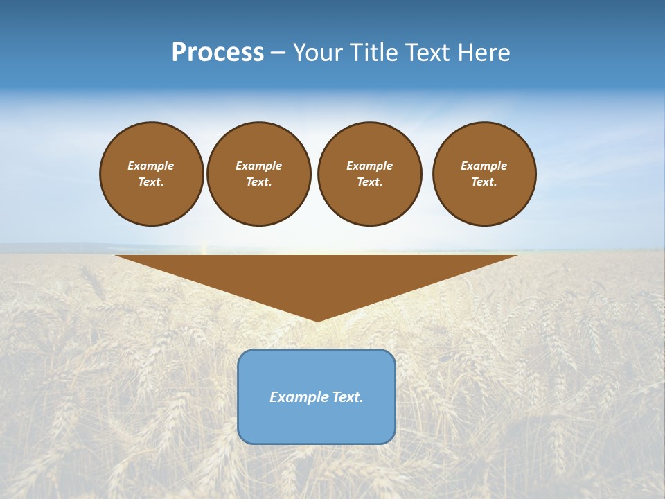 Insurance Economy Crisis PowerPoint Template