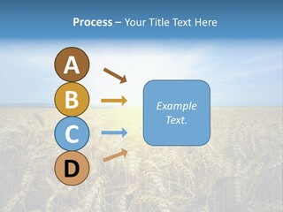 Insurance Economy Crisis PowerPoint Template