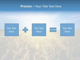 Insurance Economy Crisis PowerPoint Template