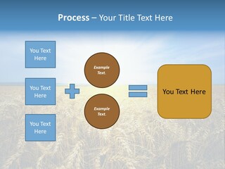 Insurance Economy Crisis PowerPoint Template