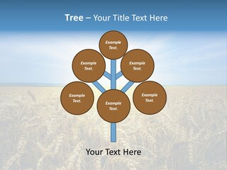 Insurance Economy Crisis PowerPoint Template