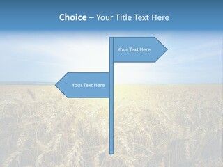 Insurance Economy Crisis PowerPoint Template