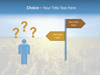 Insurance Economy Crisis PowerPoint Template