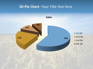 Insurance Economy Crisis PowerPoint Template