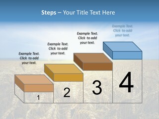 Insurance Economy Crisis PowerPoint Template