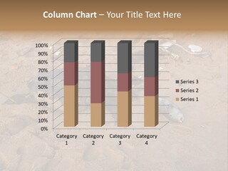 Tropical India Dead PowerPoint Template