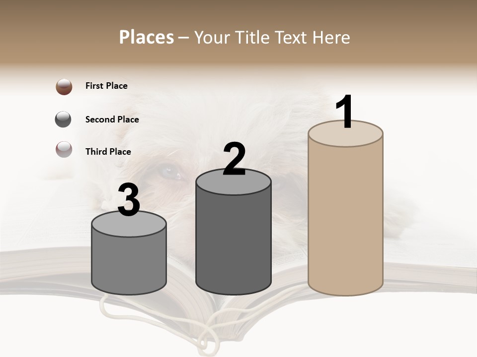 Study Dislike Humor PowerPoint Template