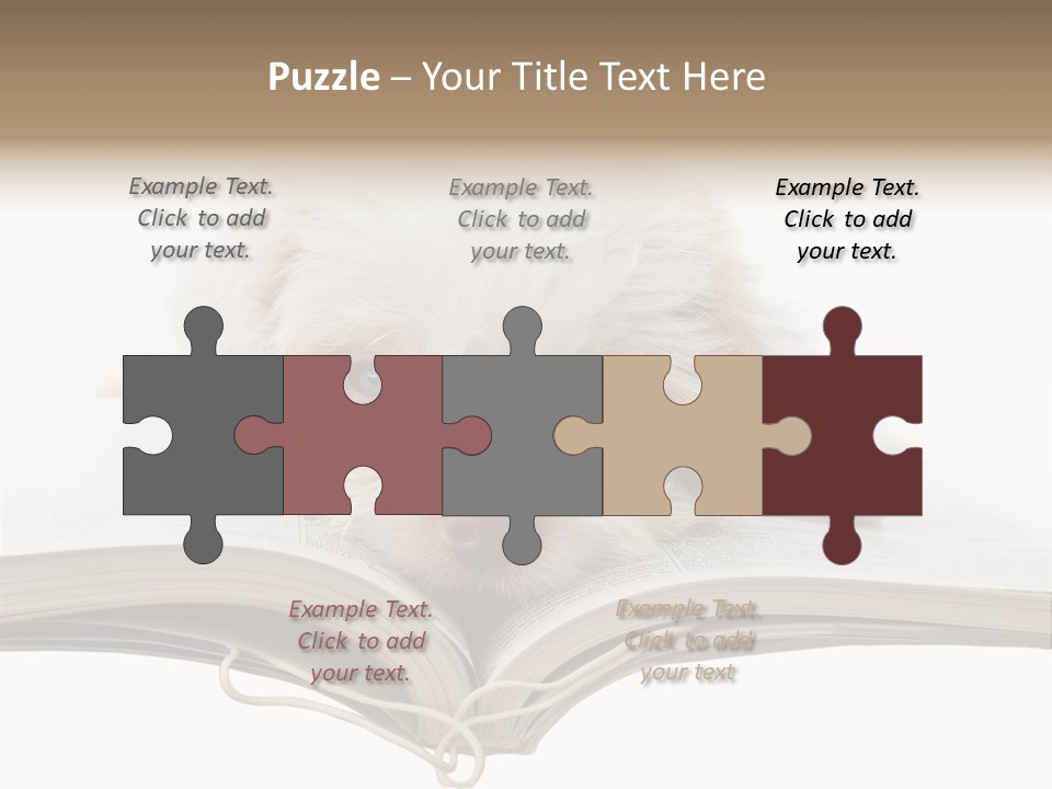 Study Dislike Humor PowerPoint Template