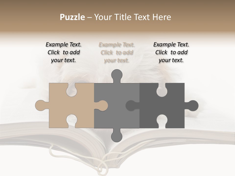 Study Dislike Humor PowerPoint Template