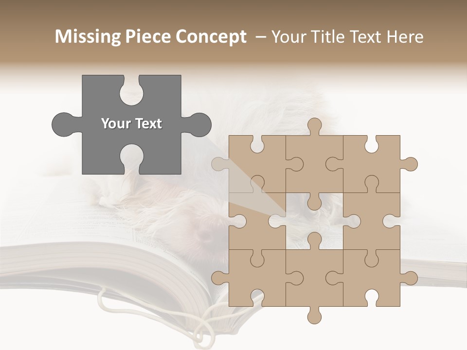 Study Dislike Humor PowerPoint Template