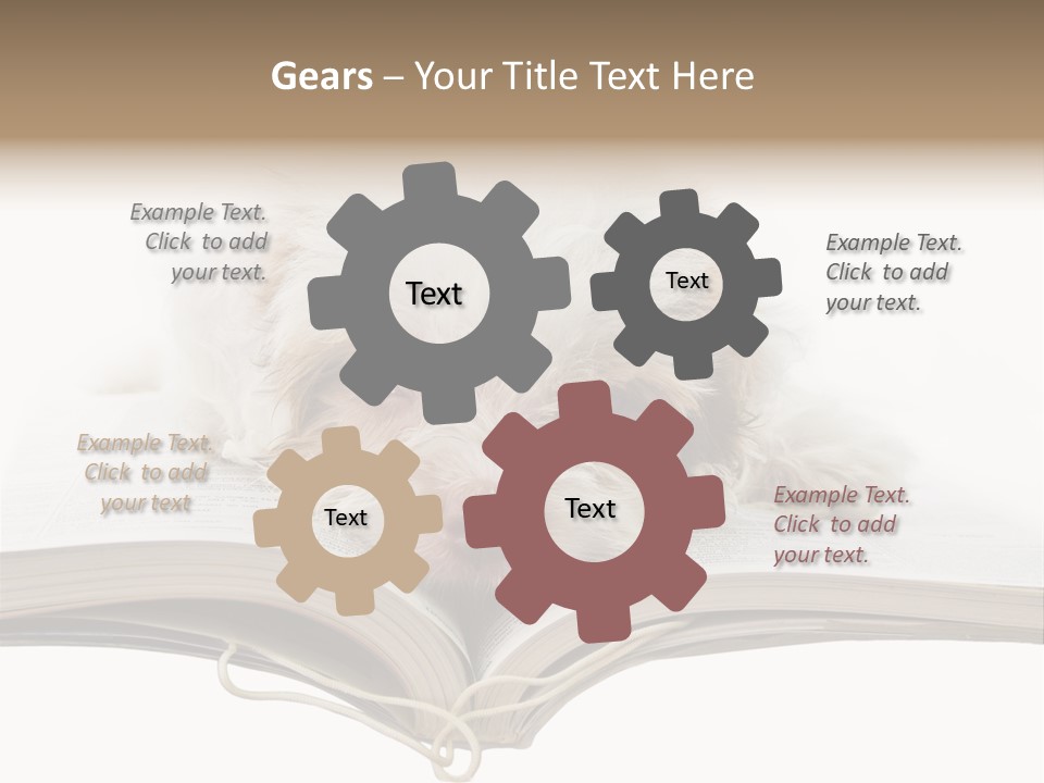 Study Dislike Humor PowerPoint Template
