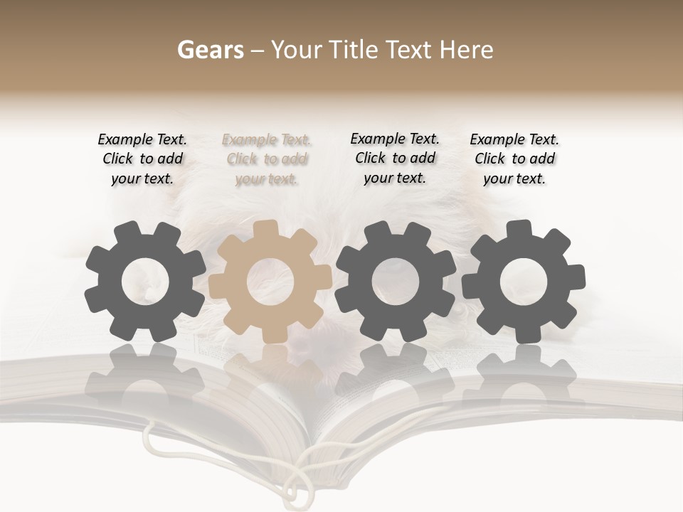 Study Dislike Humor PowerPoint Template