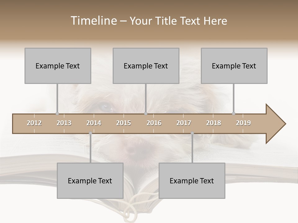 Study Dislike Humor PowerPoint Template