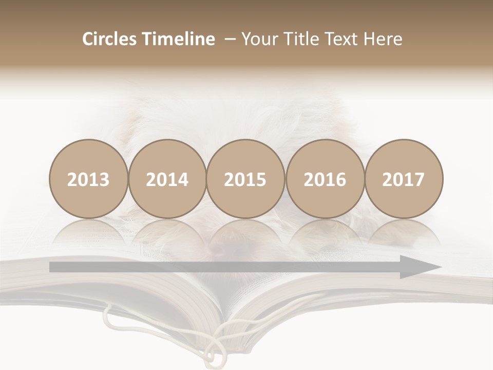 Study Dislike Humor PowerPoint Template