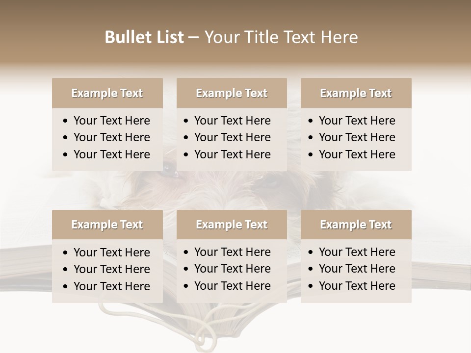 Study Dislike Humor PowerPoint Template