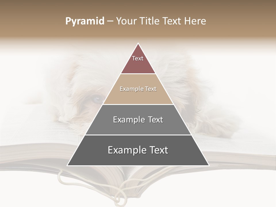 Study Dislike Humor PowerPoint Template