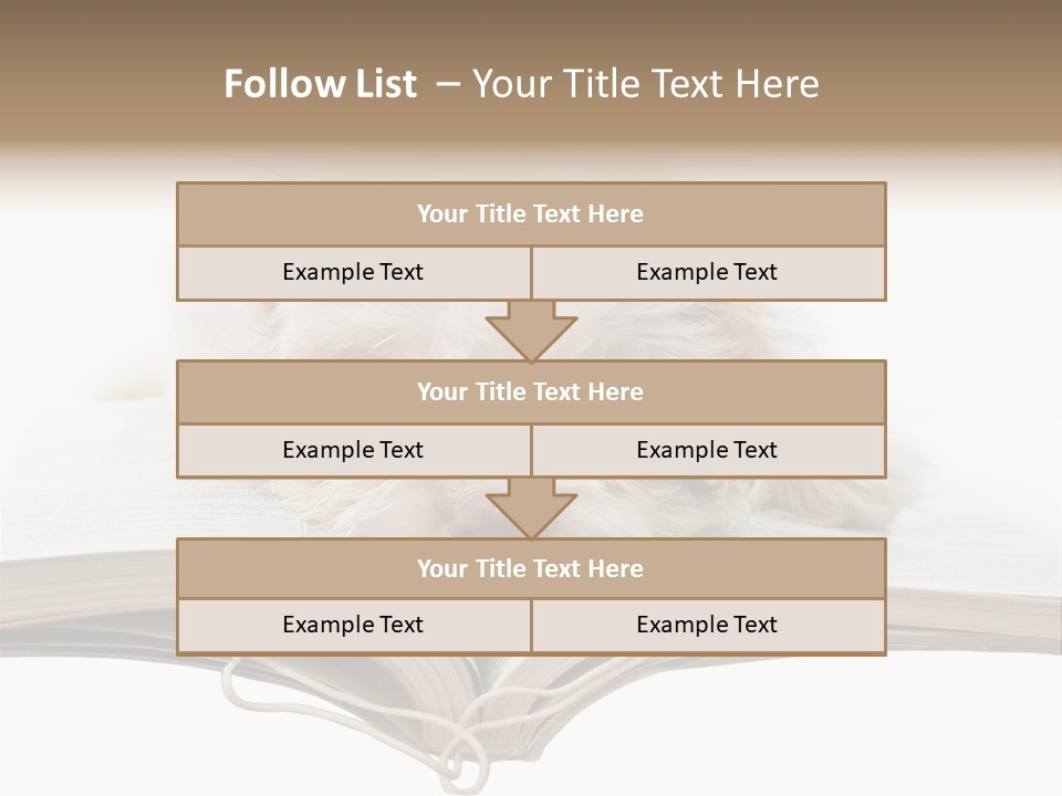 Study Dislike Humor PowerPoint Template