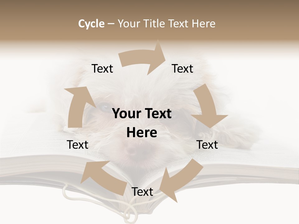 Study Dislike Humor PowerPoint Template