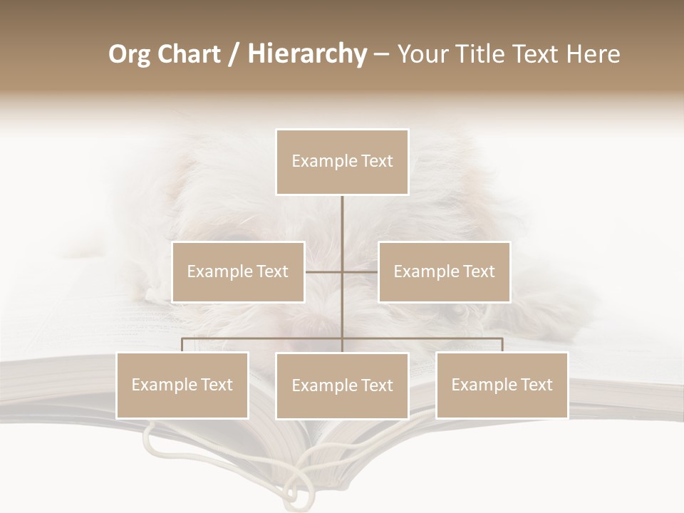 Study Dislike Humor PowerPoint Template