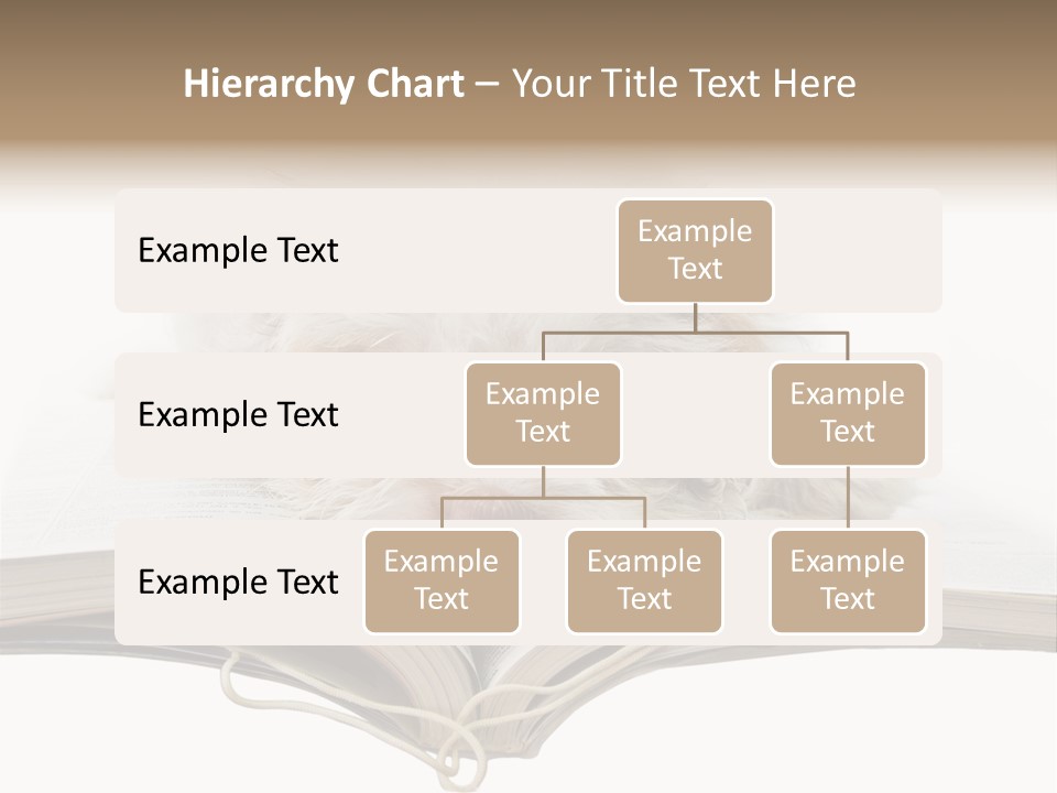 Study Dislike Humor PowerPoint Template