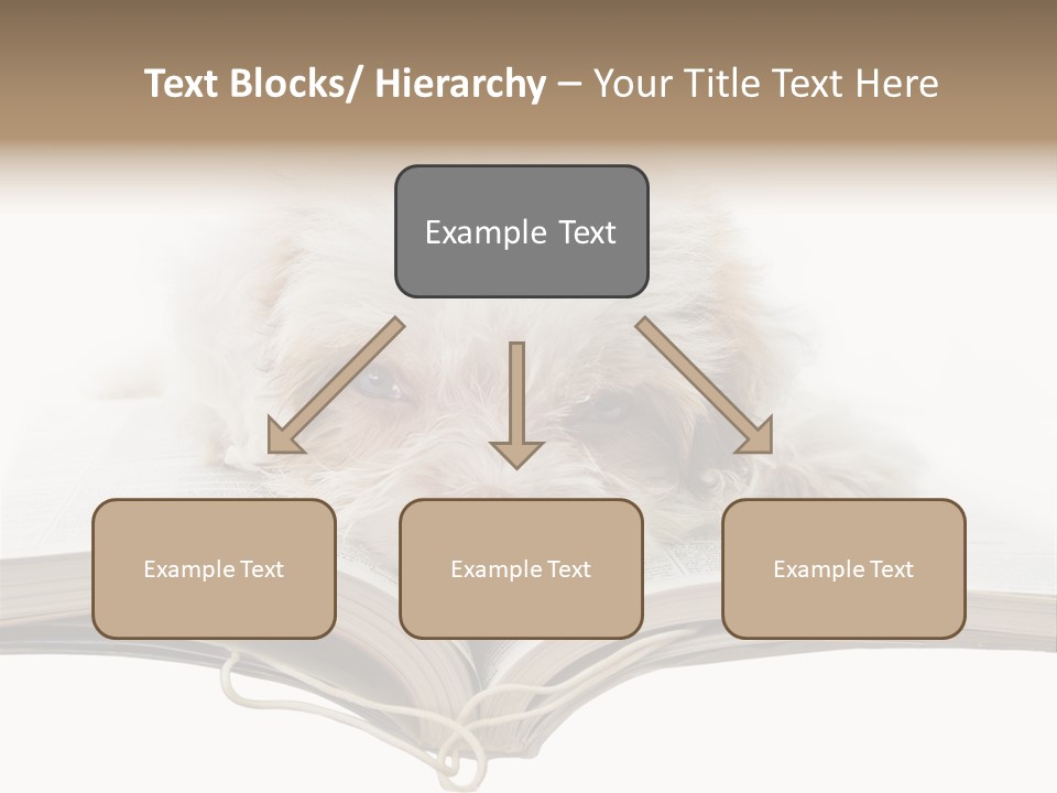 Study Dislike Humor PowerPoint Template
