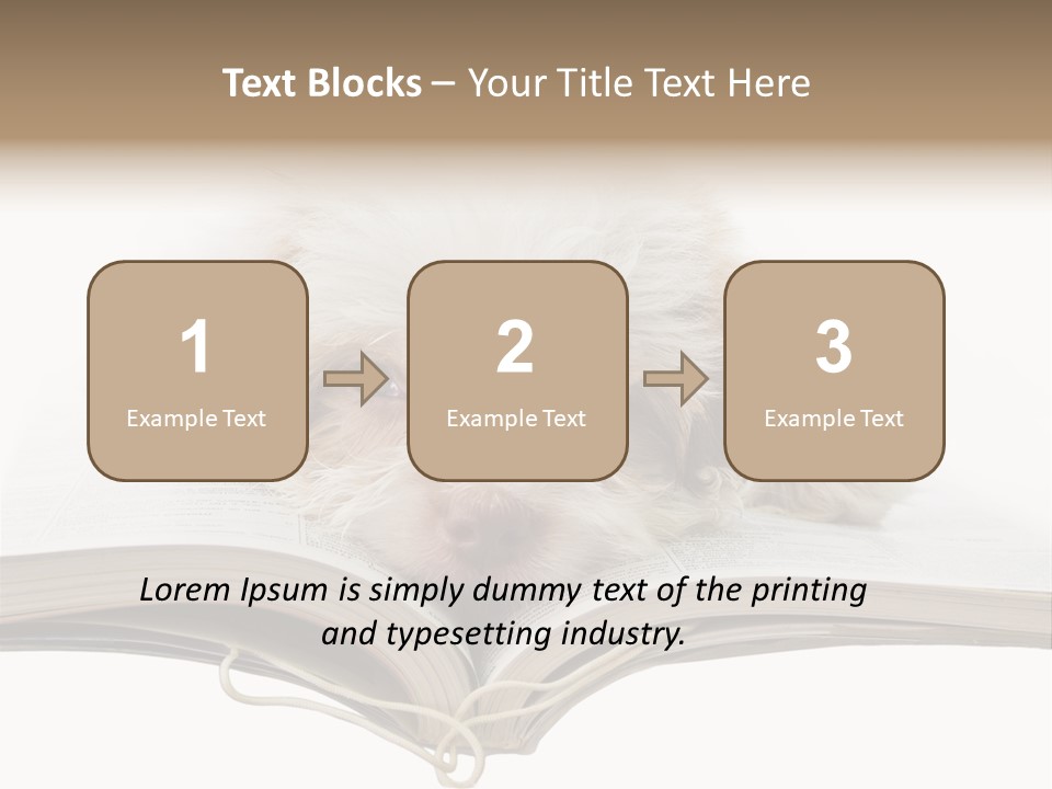 Study Dislike Humor PowerPoint Template