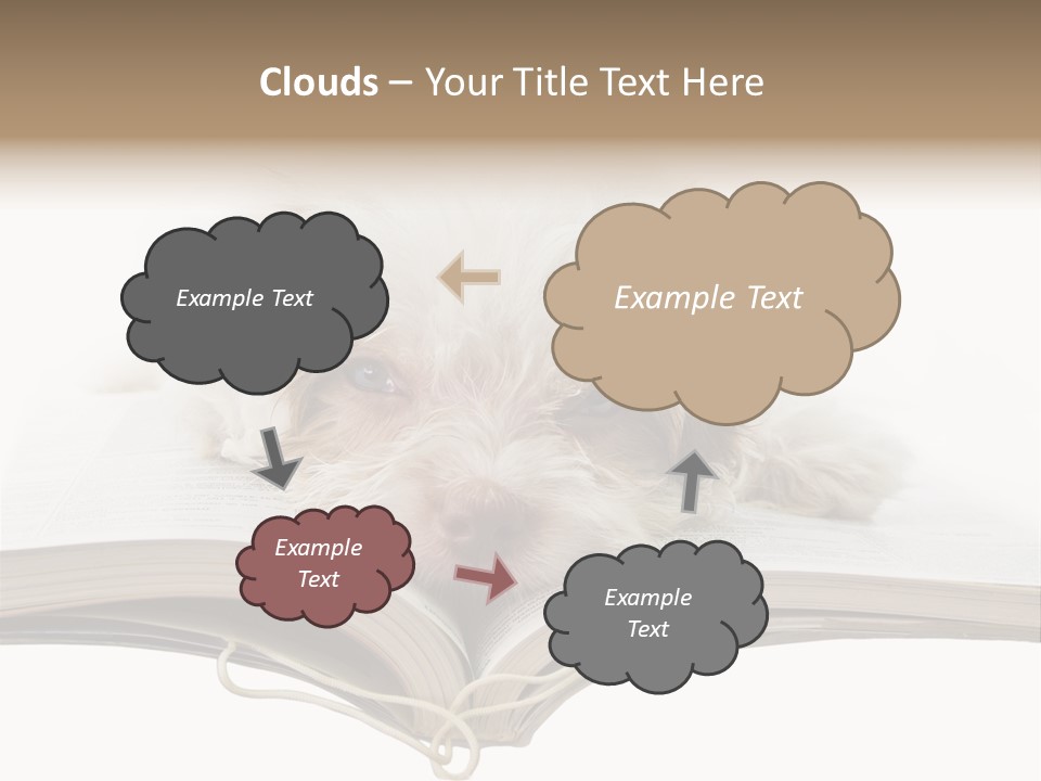 Study Dislike Humor PowerPoint Template