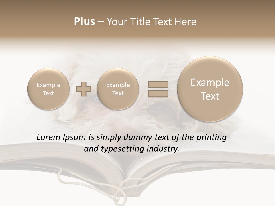 Study Dislike Humor PowerPoint Template