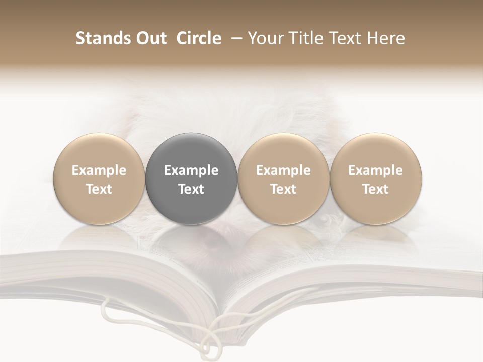 Study Dislike Humor PowerPoint Template