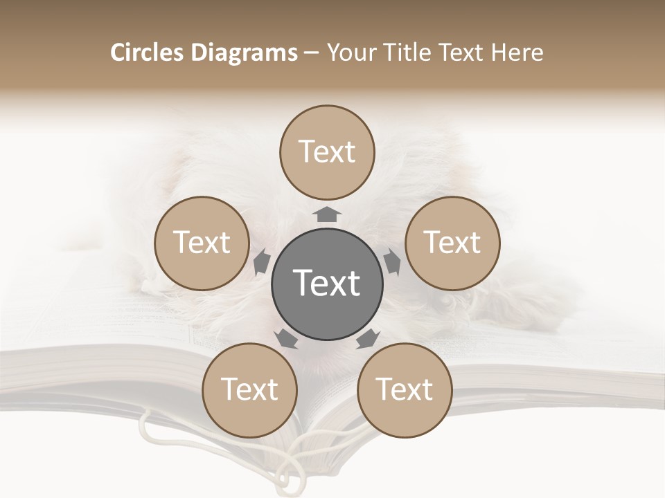 Study Dislike Humor PowerPoint Template