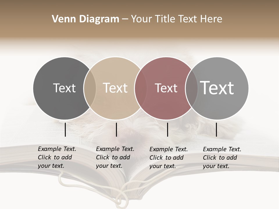 Study Dislike Humor PowerPoint Template