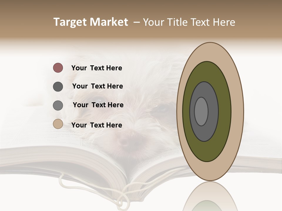 Study Dislike Humor PowerPoint Template