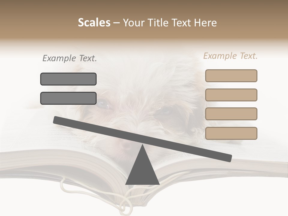 Study Dislike Humor PowerPoint Template