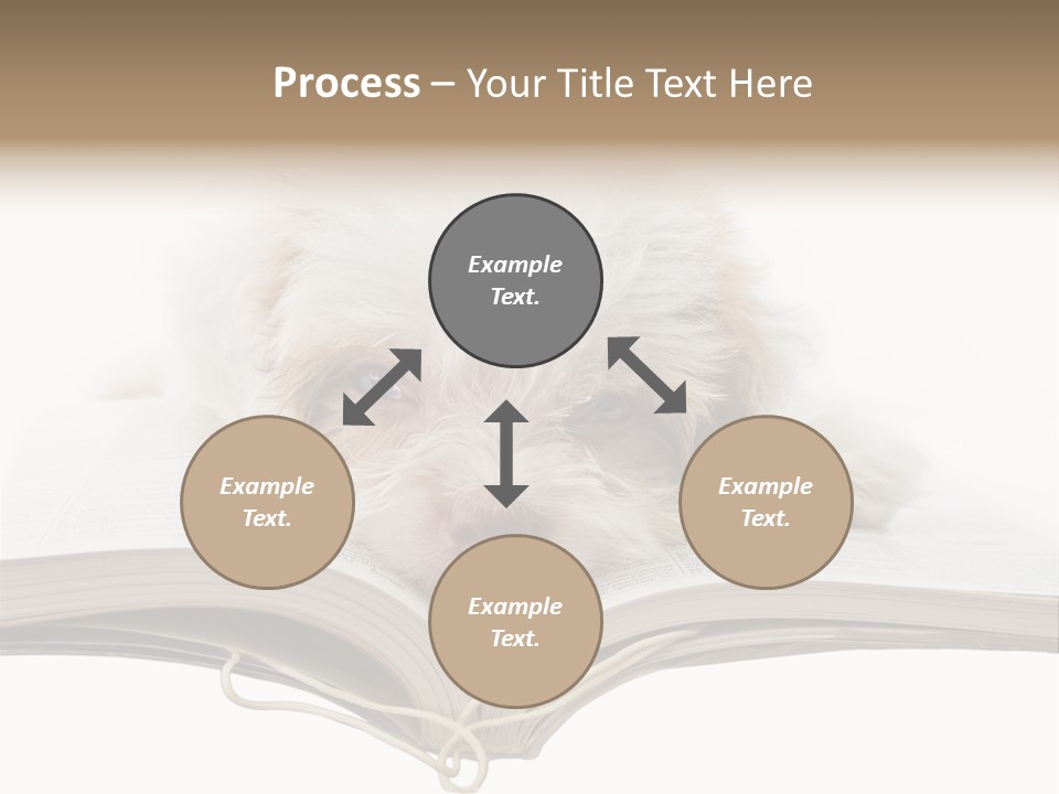 Study Dislike Humor PowerPoint Template