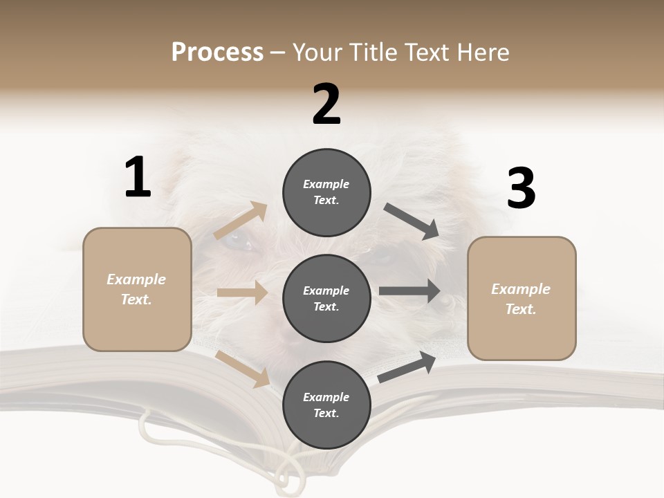 Study Dislike Humor PowerPoint Template