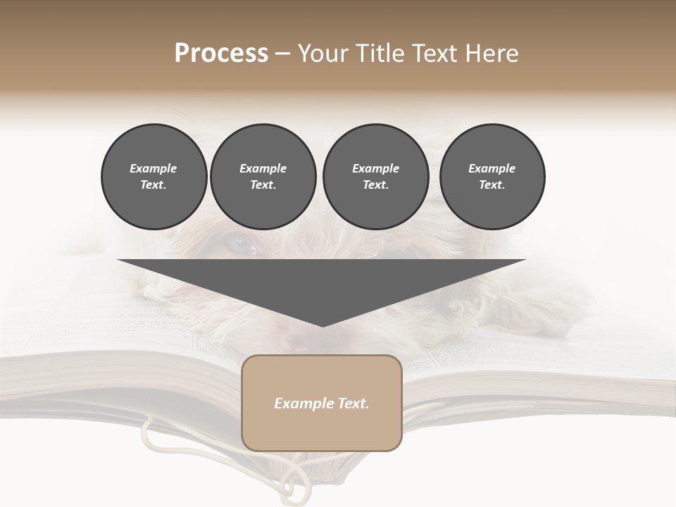 Study Dislike Humor PowerPoint Template