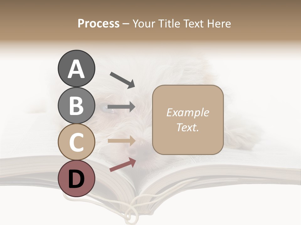 Study Dislike Humor PowerPoint Template