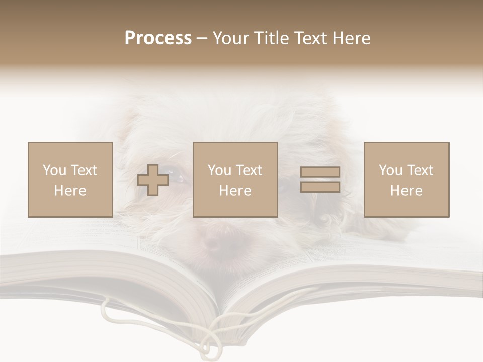 Study Dislike Humor PowerPoint Template