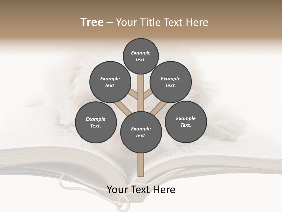Study Dislike Humor PowerPoint Template