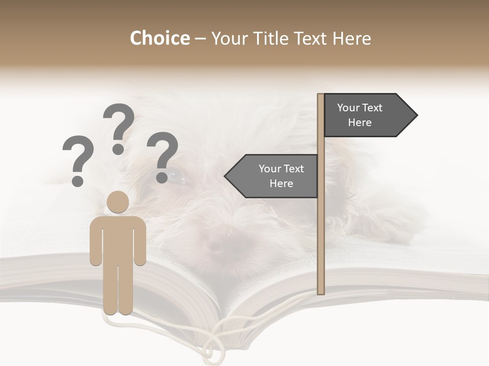 Study Dislike Humor PowerPoint Template