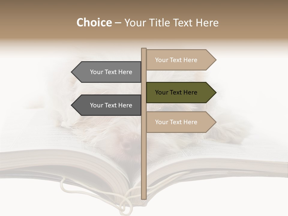 Study Dislike Humor PowerPoint Template