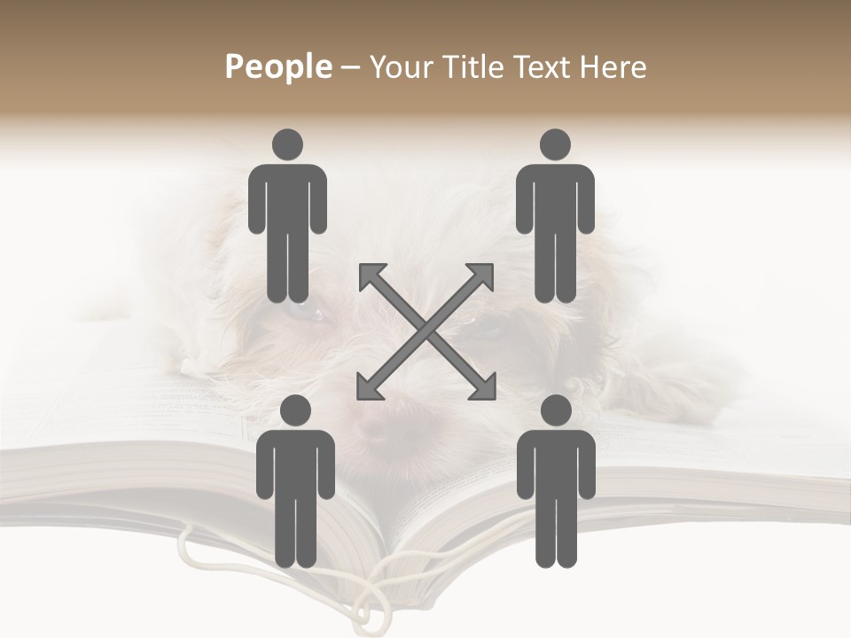 Study Dislike Humor PowerPoint Template